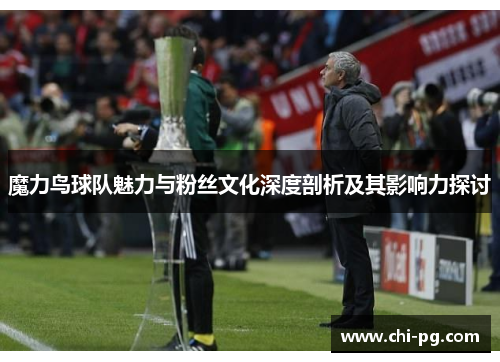 魔力鸟球队魅力与粉丝文化深度剖析及其影响力探讨