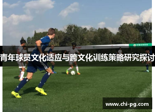 青年球员文化适应与跨文化训练策略研究探讨