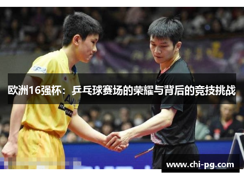 欧洲16强杯：乒乓球赛场的荣耀与背后的竞技挑战