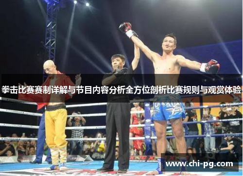 拳击比赛赛制详解与节目内容分析全方位剖析比赛规则与观赏体验