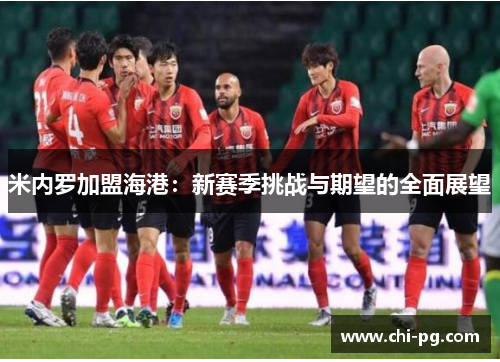 米内罗加盟海港:新赛季挑战与期望的全面展望 米内罗加盟海港:新赛季挑战与期望的全面展望