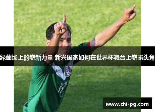 绿茵场上的崭新力量 新兴国家如何在世界杯舞台上崭露头角 绿茵场上的崭新力量 新兴国家如何在世界杯舞台上崭露头角